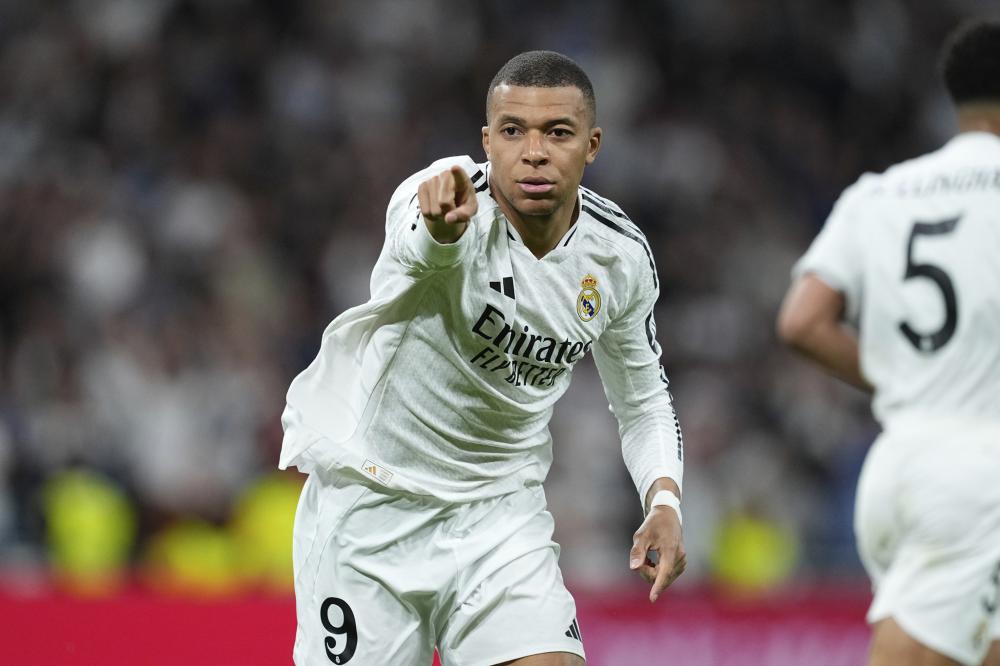 球迷和专家 球迷和专家